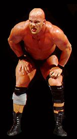 Stone Cold Steve Austin