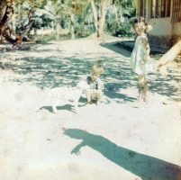 Elaine, Ricky, Terry Batu Ferrenghi