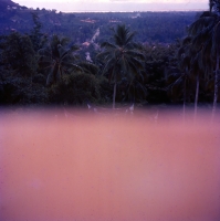 View from Pagoda