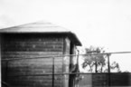022-Sydney-Zoo.jpg