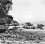 220-Climbimg-off-the-rocks.jpg