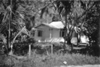 094-Taken-From-Road-Batu-Ferringhi.jpg