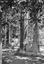 095-Ricky-after-monkey-on-tank-April-56.jpg