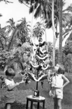 193-Our-Christmas-Tree.jpg