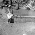 015_Carnival_Falls_Picnic_Point.jpg
