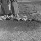025_Poppas_Grave.jpg