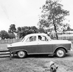 036_David_Nanna_Morris_Lancer.jpg